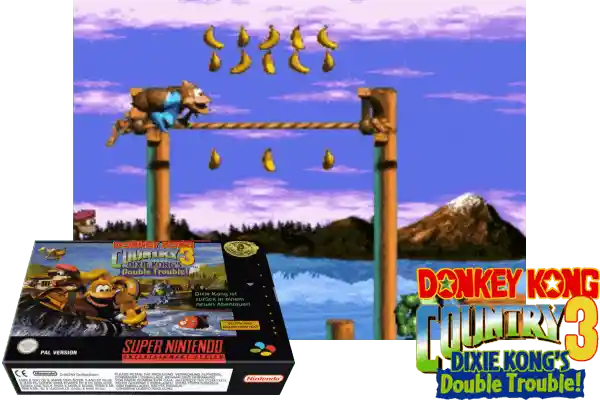donkey kong country 3 : dixie kong's double trouble